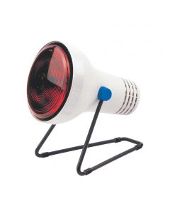 REI 240011